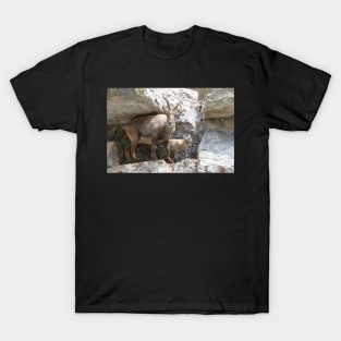 Capricorn Baby / Swiss Artwork Photography T-Shirt